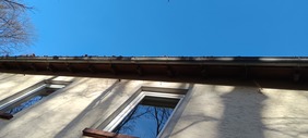 Verstopfte Dachrinne im Herbst